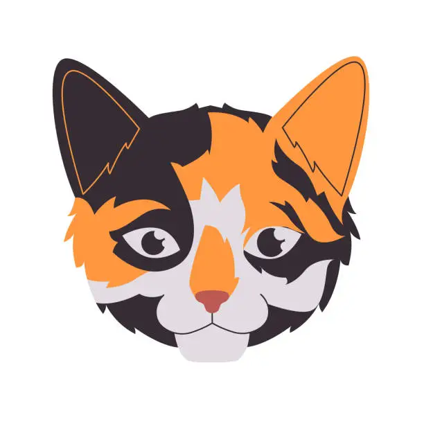 Vector illustration of black white and orange color head fluffy fur cat mammal domestic animal cute adorable pet creature