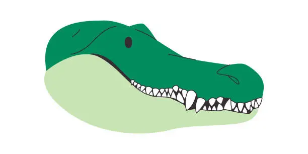 Vector illustration of green color crocodile head wild nature animal dangerous carnivore with sharp fang tooth aggressive hunter