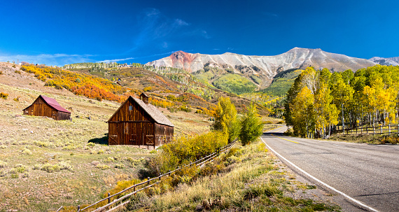 Amazing autumn along the road in Colorados mountains