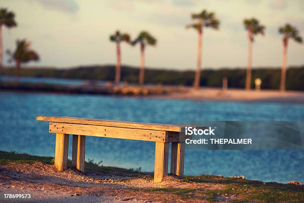 Banco De Praia - Fotografias de stock e mais imagens de Banco - Assento - Banco - Assento, Miami, Ao Ar Livre