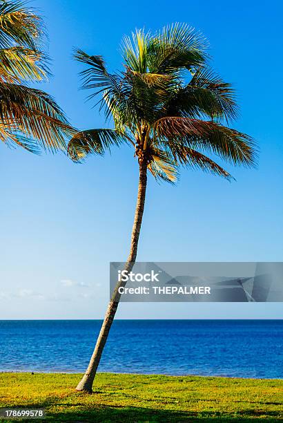 Playa De Miami Foto de stock y más banco de imágenes de Aire libre - Aire libre, Anochecer, Día