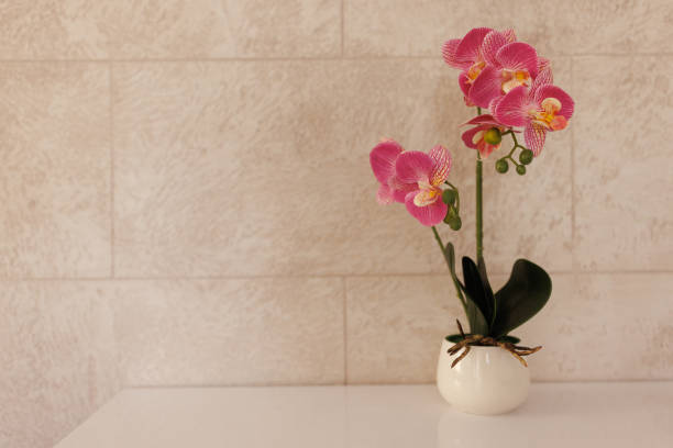 Close up flower bouquet on wooden podium in meeting room