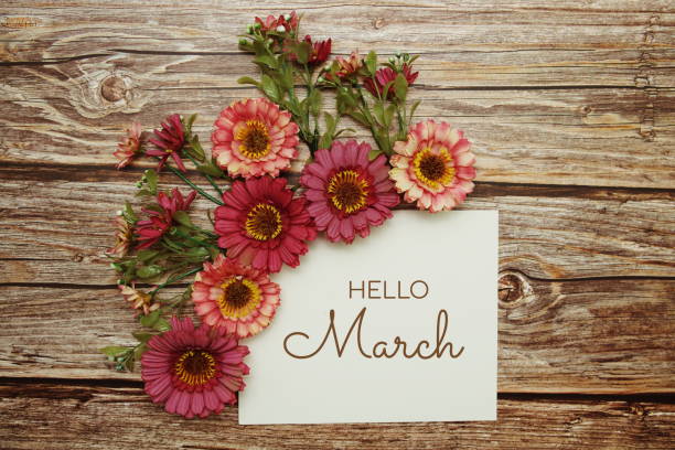 istock Hello March typography text with flowers on wooden background 1787013718