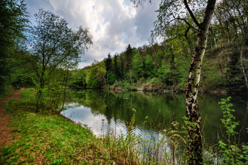 lake in a forest near huerth