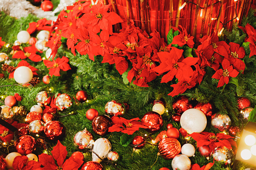 Christmas decorations and illuminations in Roppongi