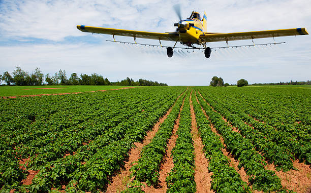 istock Yellow plane dusting green crops on a large farm 178703645