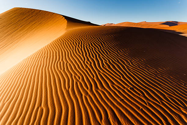 istock Sunlit Namibian desert dunes sand ripple pattern rises to ridge. 178703666