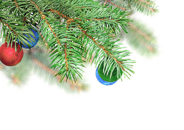 Christmas decoration-glass  ball on fir branches.Isolated