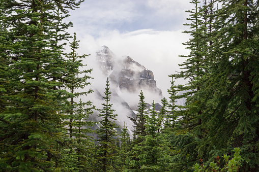 Beautiful snow-covered peaks of the Rocky Mountains, surrounded by clouds after rain and coniferous forest. Natural mountain landscape - active eco tourism.