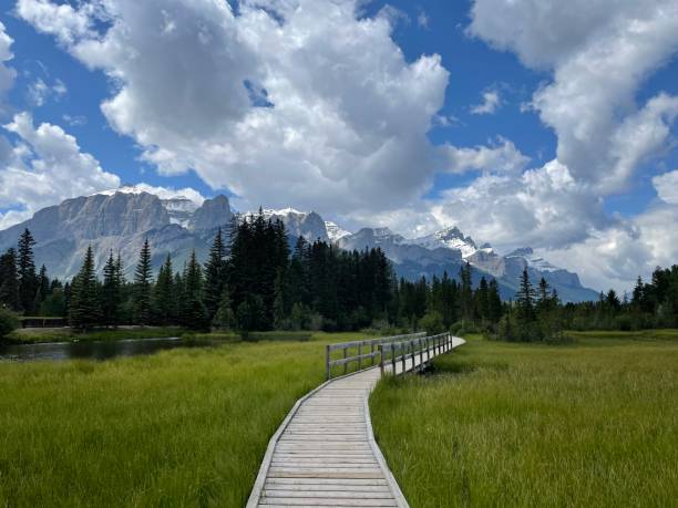 istock The Police Creek’s boardwalk in Canmore 1787055314