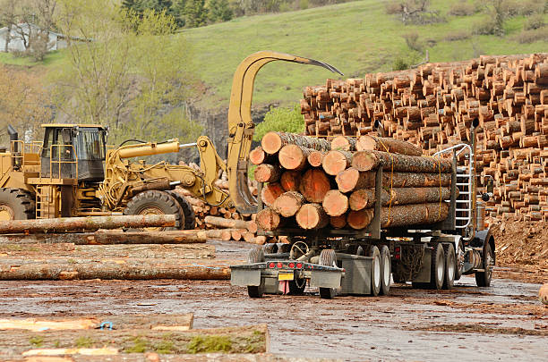 di mill ops - lumber industry timber truck forklift foto e immagini stock