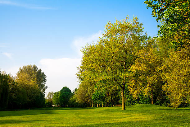 istock Beautiful summer landscape.  green field and trees 178707258