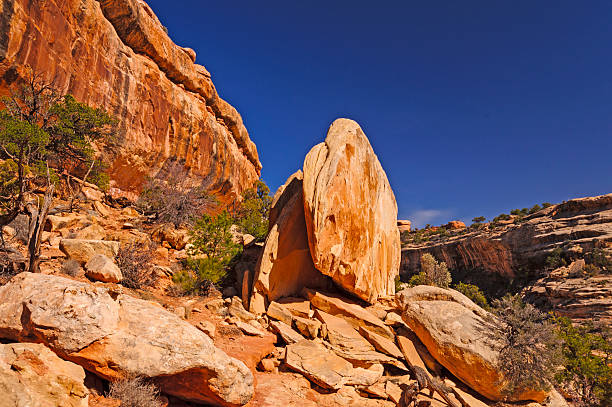 incomum rochas vermelhas do deserto - red rocks rock canyon escarpment - fotografias e filmes do acervo