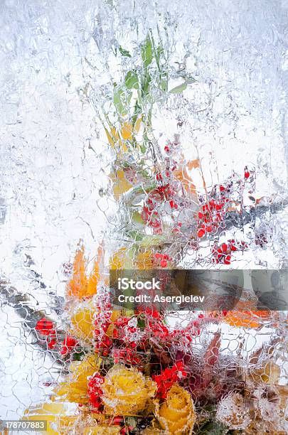 Feine Blumenstrauß In Der Ice Stockfoto und mehr Bilder von Abstrakt - Abstrakt, Baumblüte, Bedecken