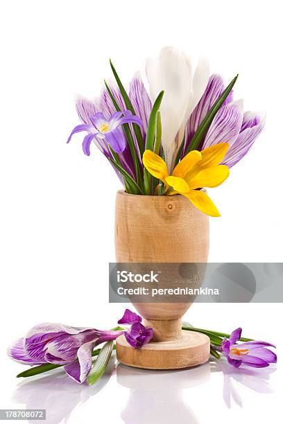 Photo libre de droit de Crocus banque d'images et plus d'images libres de droit de Beauté - Beauté, Blanc, Bouquet formel