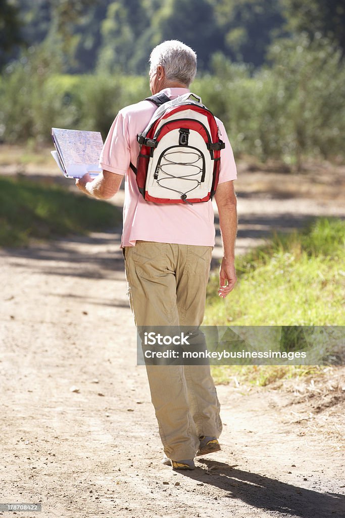 読書する老人男性マップで徒歩国 - 1人のロイヤリティフリーストックフォト