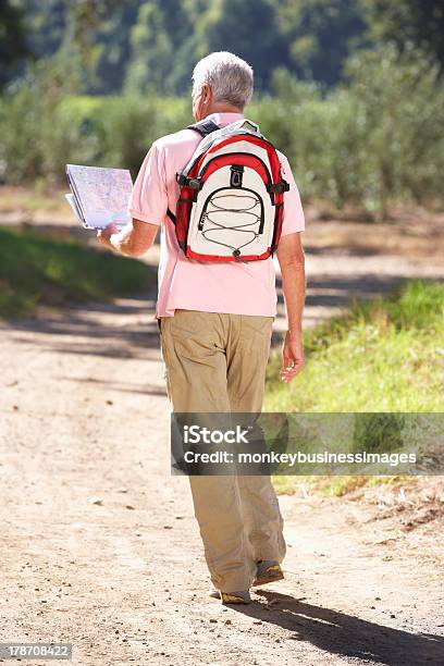 読書する老人男性マップで徒歩国 - 1人のストックフォトや画像を多数ご用意 - 1人, 60代, アクティブシニア