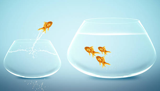 istock goldfish jumping into bigger fishbowl 178709141