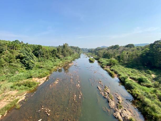 istock A river flowing through the thick forests of the Western Ghats 1787096984