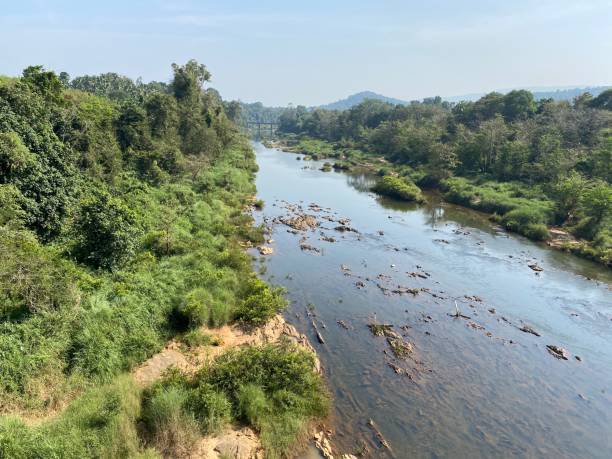 istock A river flowing through the thick forests of the Western Ghats 1787096989