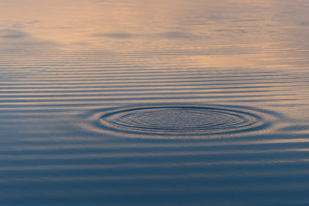 istock water rings, Circle reflections in pool water. 1787099028