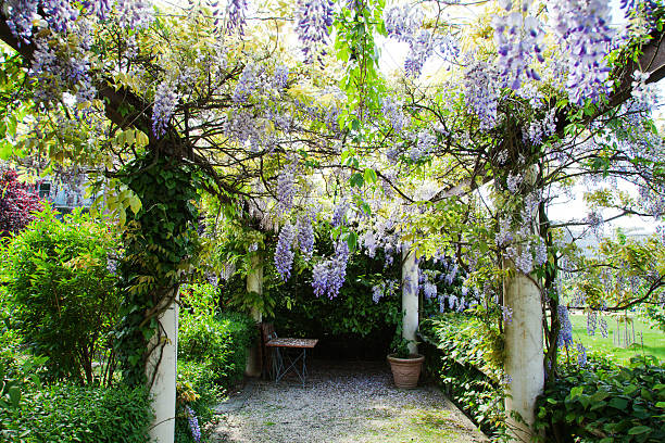 Garden area of vineyard in Temecula, California