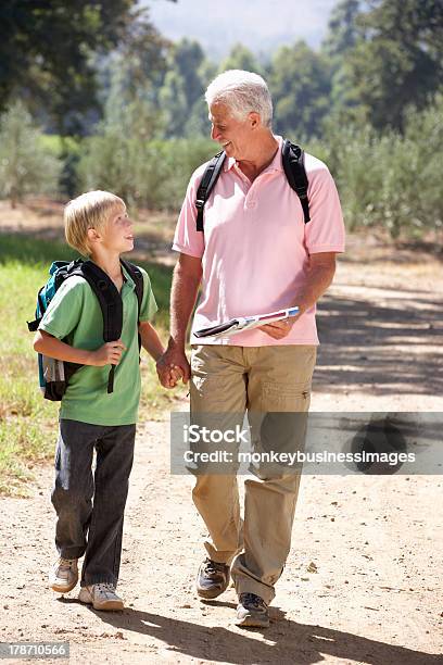 Idoso E Neto No País Caminhar - Fotografias de stock e mais imagens de Avô - Avô, Neto, Trilho