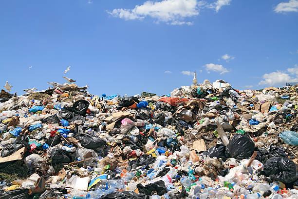 istock A huge pile of garbage with seagulls 178711242