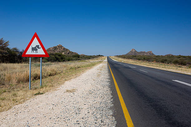 istock Namibian Roadsign 178711482