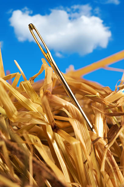 Needle Ina Haystack Gif 490+ Needle In The Haystack Stock Photos, Pictures & Royalty-Free ...