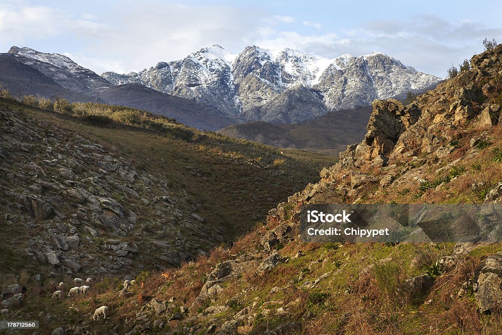 Sierra de Gredos Landscape and river in the Sierra de Gredos, Candeleda, Spain Mountain Stock Photo