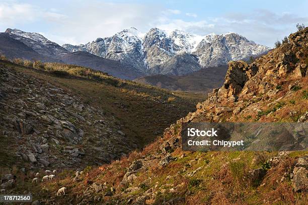 Sierra De Gredos Stock Photo - Download Image Now - Mountain, Extreme Terrain, Forest