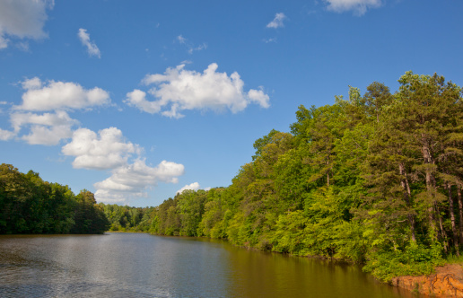 A cove on Lake norman in the Piedmont of North Carolina