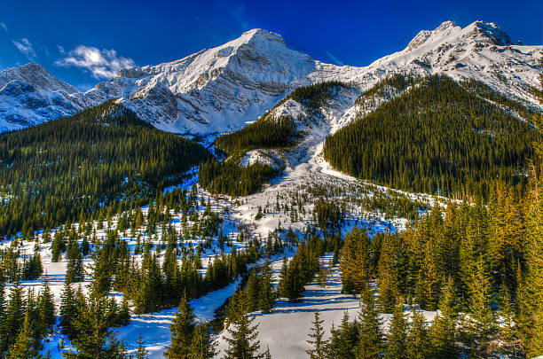 istock Winter in the mountains 178713234