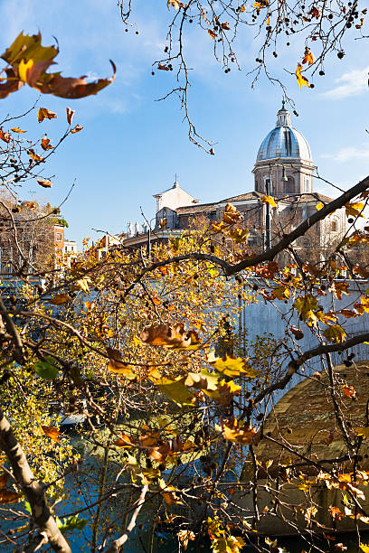 istock autumn tree under Tiber river in Rome 178713805