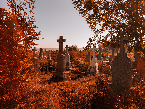Ancient crosses in the old cemetery. Forgotten burial places. An abandoned cemetery on a sunny autumn morning.