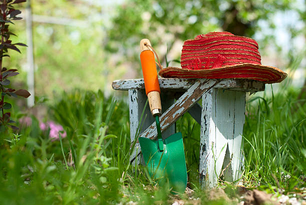 garden tools garden shovel, a bench and a hat on a bed of green plants trowel gardening shovel gardening equipment stock pictures, royalty-free photos & images