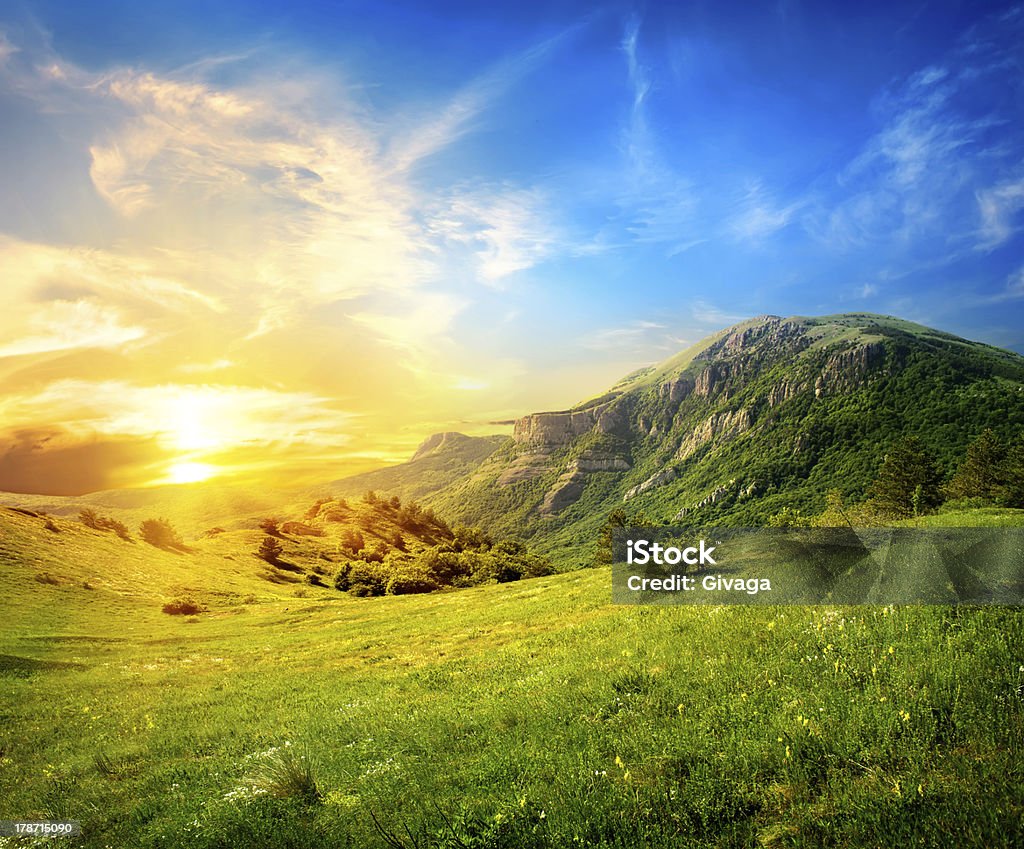 Meadow in mountains Green meadow on the background of the Crimean  Agricultural Field Stock Photo