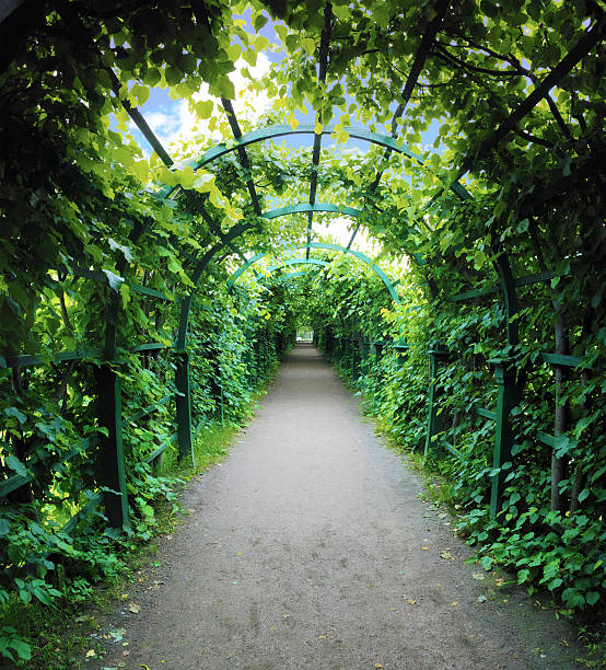 istock Green archway in a garden 178715386