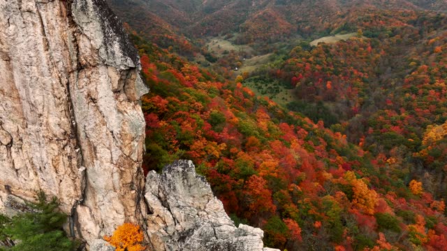 Drone footage of Seneca Rocks in West Virginia during peak Fall foliage