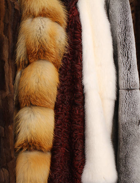 istock Background of various fur coats 178715912
