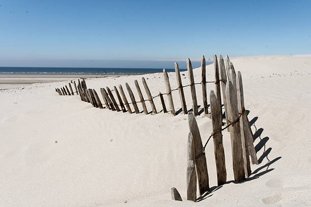 Sand retaining fence stock photo