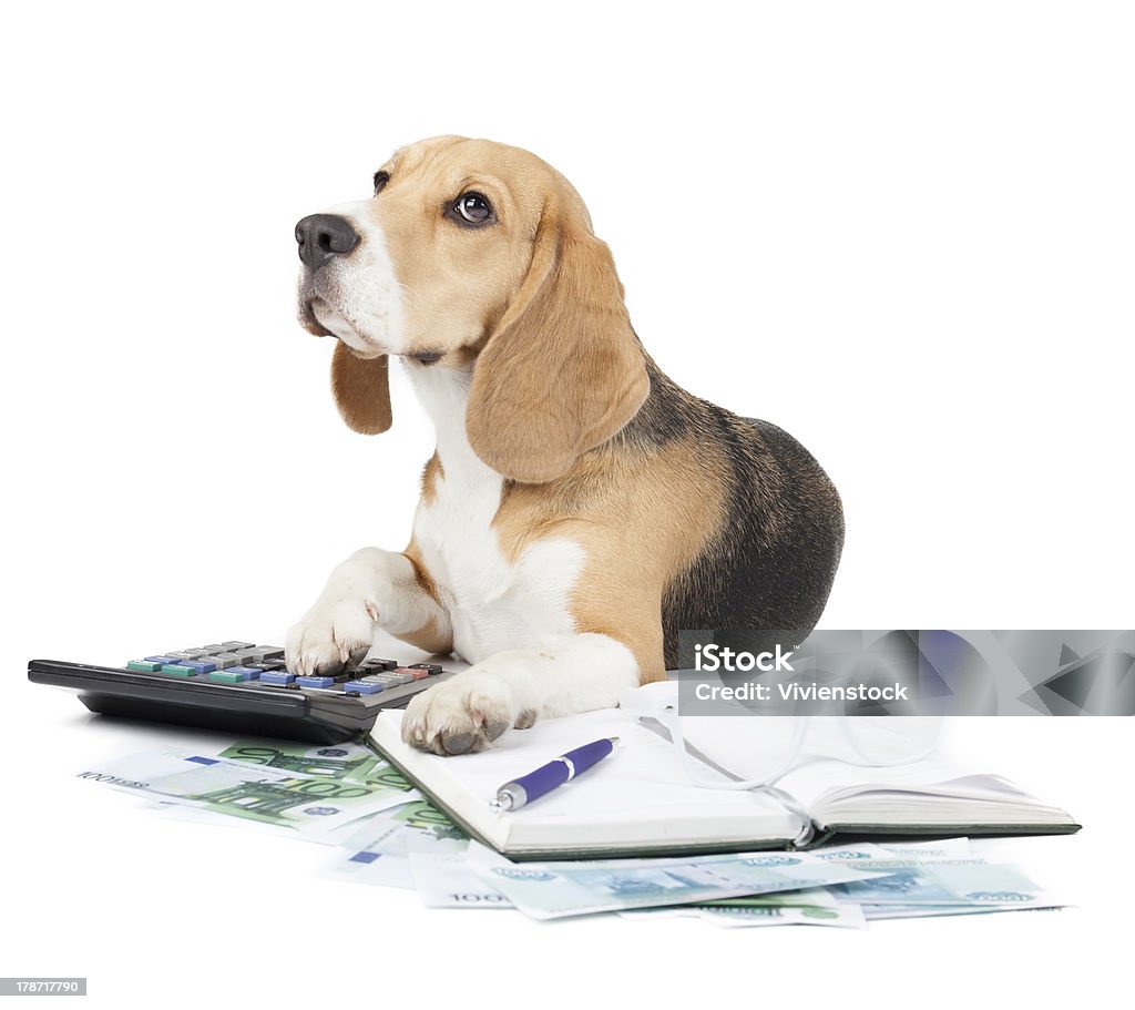 Macchina da scrivere cane di affari - Foto stock royalty-free di Raccoglitore ad anelli