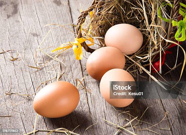 Colorful Easter Eggs Stock Photo - Download Image Now - Animal Markings, Animal Nest, April