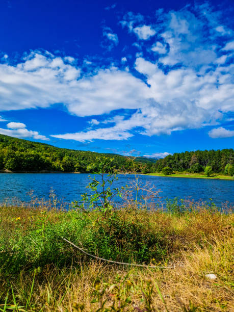 istock An perfect day in nature 1787184232