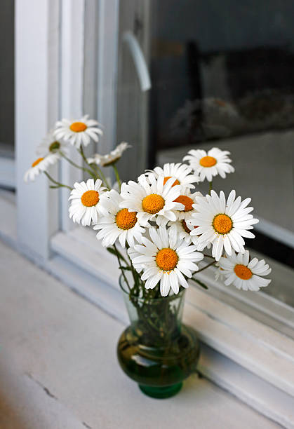 istock Bouquet of camomiles 178718431