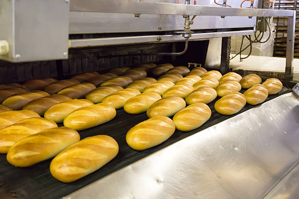 istock Production of bread in factory 178718793