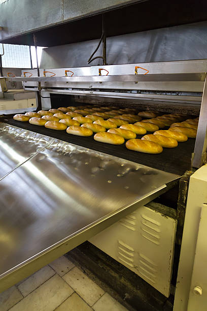 istock Production of bread in factory 178719023