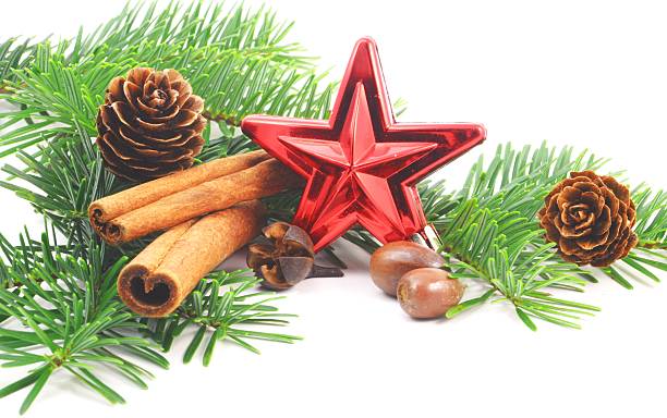 istock christmas branch with ball 178719120