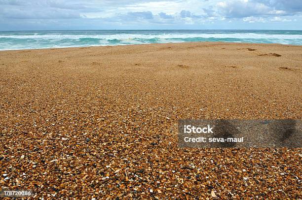 Vuoto Spiaggia - Fotografie stock e altre immagini di Acqua - Acqua, Albero, Ambientazione esterna